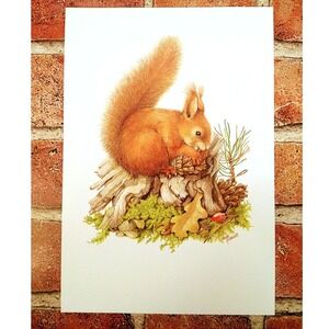 Cute Red Squirrel (European) - 1999 Vtg ART PRINT - 7"x10" - Unique Wall Decor
